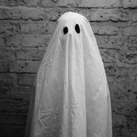 Ghost Express (@ghostexpress) 's Twitter Profile