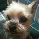 Dong Wook Suh - @dsuh82 - Twitter