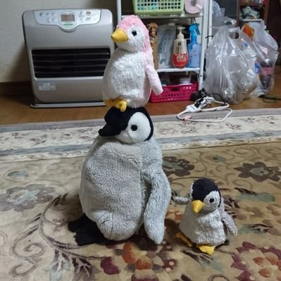 後藤けいすけ ラティオス ランドロス ヒードラン ジバコイル ギャラドス カプブルル 新環境はこれでいきます 耐久火力にぶっぱの役割論理仕様です