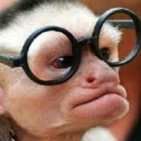 Javier Prunera (@micosapiens) 's Twitter Profile