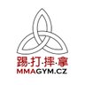 mmagymcz's profile picture. Tréninky #MMA pro začátečníky v Praze - doraž na zkušební lekci zdarma #mmagymcz