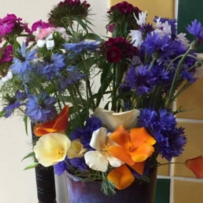 Retired accountant. Knitter and reader. tenisonpurple on Instagram and tenisonpurple@mas.to on Mastodon