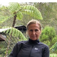 PilarB (@pilarbarcelo3) 's Twitter Profile
