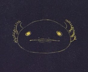 ぬたやさんのプロフィール画像