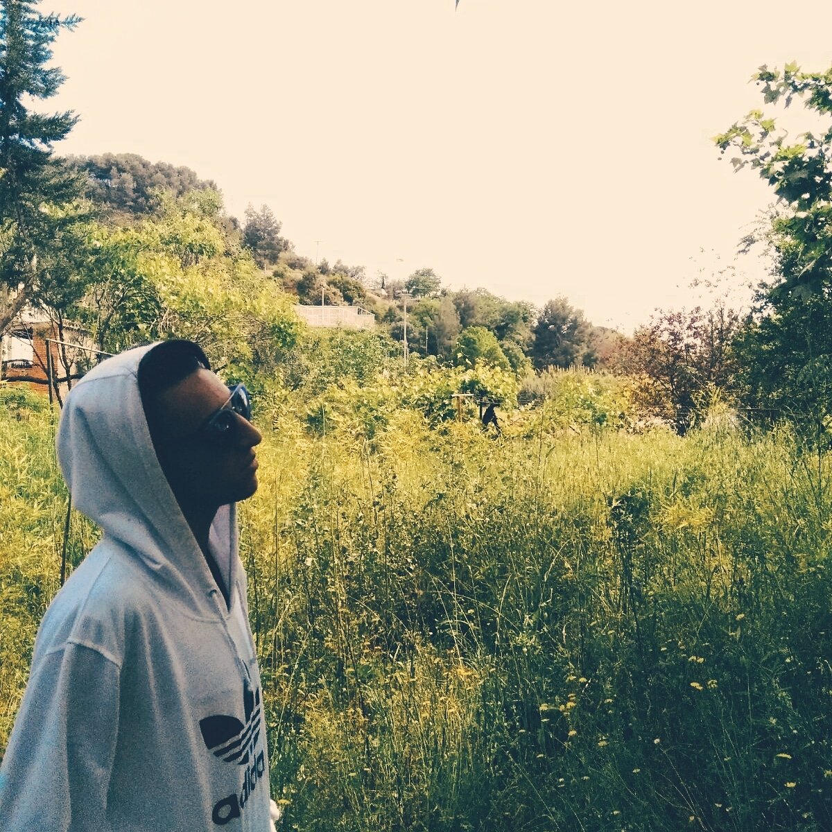 perval2002's profile picture. 