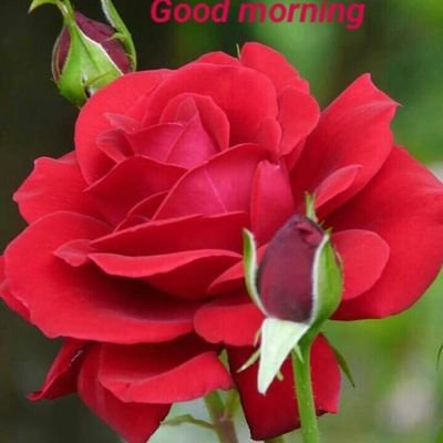 shivarajkumar89's profile picture. 