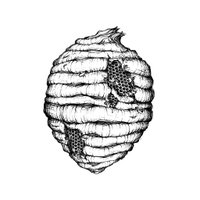 DREAM DAMAGE (@dreamdamage) 's Twitter Profile