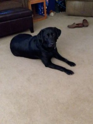 TomHunt08102626's profile picture. Retired Civil Engineer