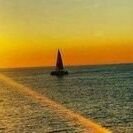 Safwan14542611's profile picture. Teacher