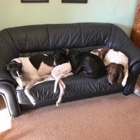 Claire Bines (@clairebines1) 's Twitter Profile Photo Claire Bines (@clairebines1) 's Twitter Profile Photo
