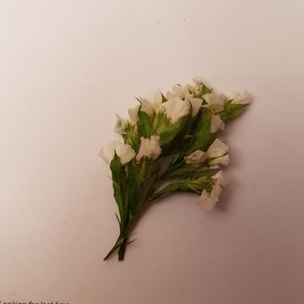 3oHGNlzgCOswoS4's profile picture. 한동훈 격하게 응원합니다 🩷