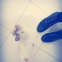 Smile (@smile10587433) 's Twitter Profile