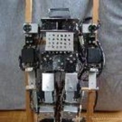 DataEngineerのBI/DWH領域を中心に、データ分析基盤やテーブル/ダッシュボード作成をしています。また、Data Analystとして要件整理、データの可視化、統計・機械学習もやります。技術Tipsは、https://t.co/O9m0mI6XYs。趣味はクラウド系資格、kaggleの勉強です。