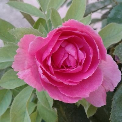 abjpar2010's profile picture. 