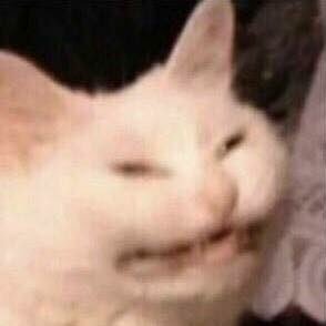 https://t.co/oSJCUnLMXR Crazy cat lady of South London , Artist , proud mother of one rice boi