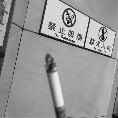 EdisonMa3's profile picture. 。。