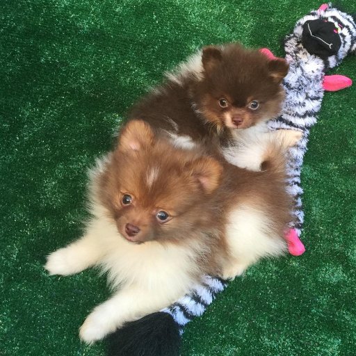 GingerParkerNLV's profile picture. Female that loves the beach and watching the waves crash into the sand at my feet. The smell of the ocean is so awesome, California I miss you!