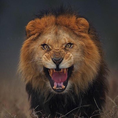 b246800's profile picture. 