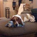 Michael Batten - @mabattenindy - Twitter