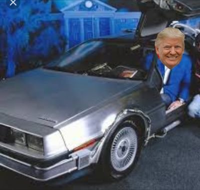 Satire.

What happens when Trump gets ahold of the Delorean?!

Answer: just what you thought would happen.

Follow 45 on some wacky adventures!