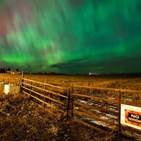 Northern Bites (@northernbitesab) 's Twitter Profile