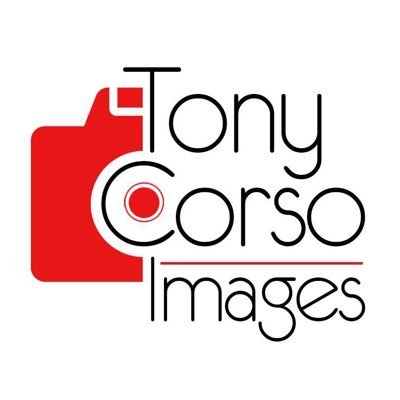 I am a full time self-employed photographer based in Paris,TX. Visit my web site for more info https://t.co/XesnKcdMdN