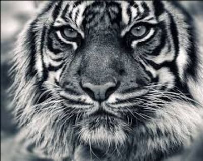फरक मानछे,
फरक परिचय
100% follow back👉👉
don't try to know meh
if u
youlll forget yourself