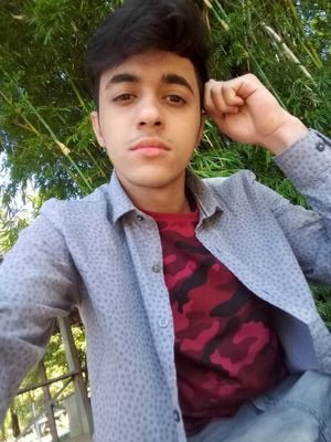 Sou de Leão, tenho 18 anos, moro em Barueri SP ,violinista etc....