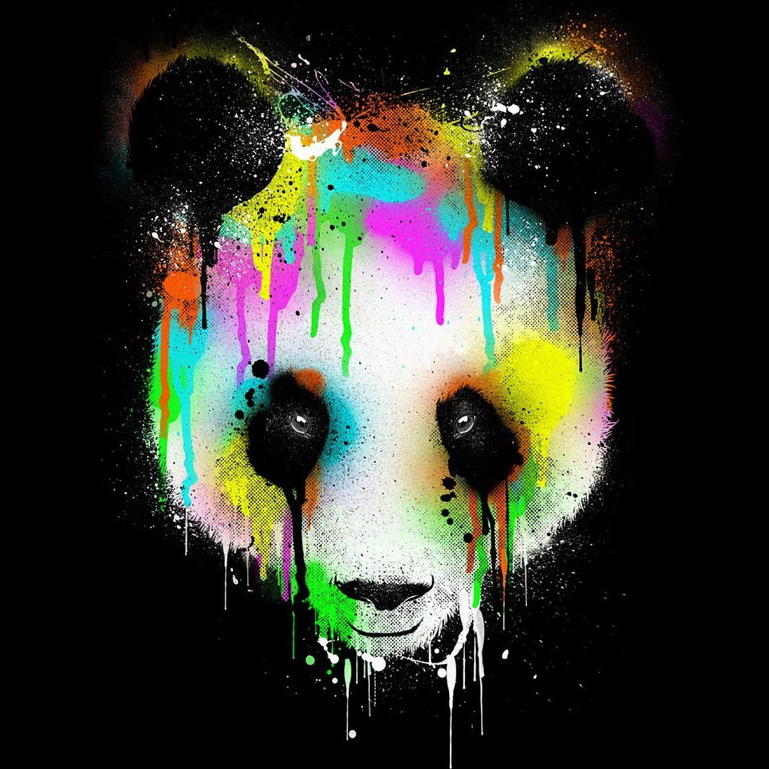 ussama_alaa's profile picture. 