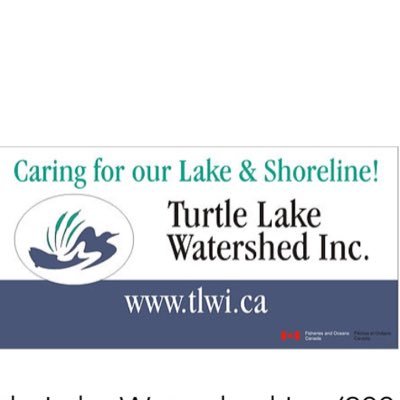 TurtlelakeWater Profile Picture