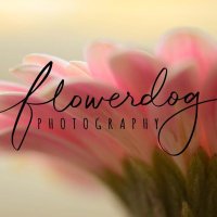 Flowerdogphotography(@Flowerdogphoto4) 's Twitter Profile Photo