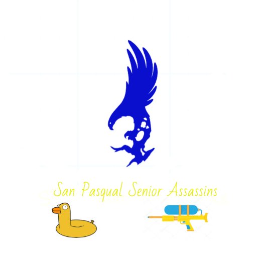 ⚠️Your news for SPHS Senior Assassins | Turn on post notifications for this account⚠️