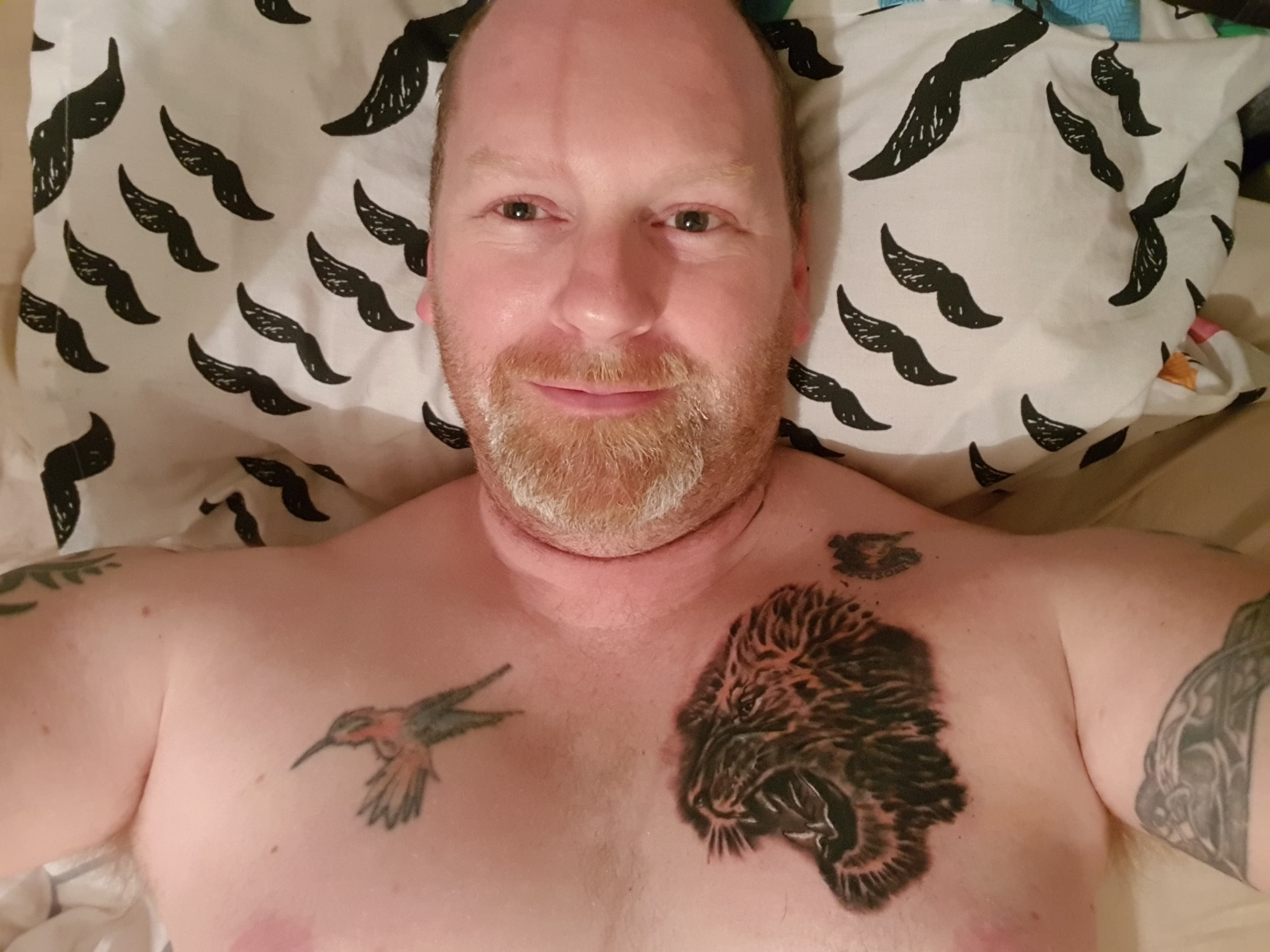 docfox1978's profile picture. 