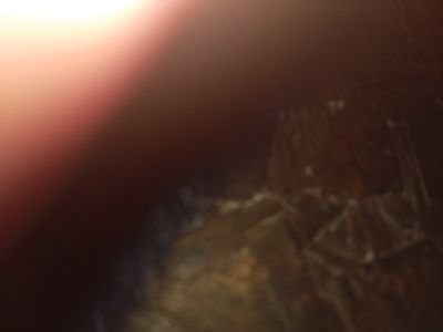 cfredisdead's profile picture. 