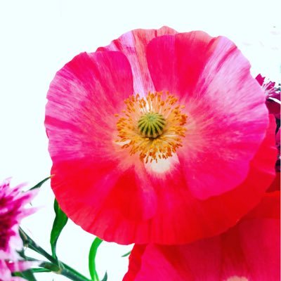 v_v_u_u_v_v_u_u's profile picture. 