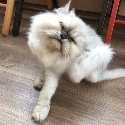 18_acm's profile picture. 