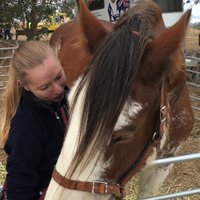 Jessica Smith-King (@jexsta) 's Twitter Profile