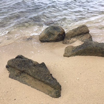 thassociates888's profile picture. 長年海外事業に従事し、米国と欧州に20年間駐在。昨年３月末でセミリタイア。家族とともにホノルルで生活。共感する引用を紹介したり、徒然なる思いを書いていこうと思う。瞑想、坐禅を実践し、潜在意識の力、引き寄せの法則、ホ・オポノポノに共感している。ウェイン・ダイヤーのファン。