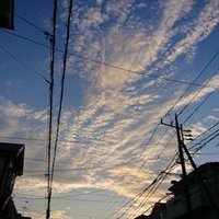 ななろく/期間限定鍵開け中 (@naroku_fn) 's Twitter Profile Photo ななろく/期間限定鍵開け中 (@naroku_fn) 's Twitter Profile Photo