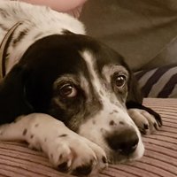 Dr Andrew Kelly (@dr_a_kelly) 's Twitter Profile Photo Dr Andrew Kelly (@dr_a_kelly) 's Twitter Profile Photo