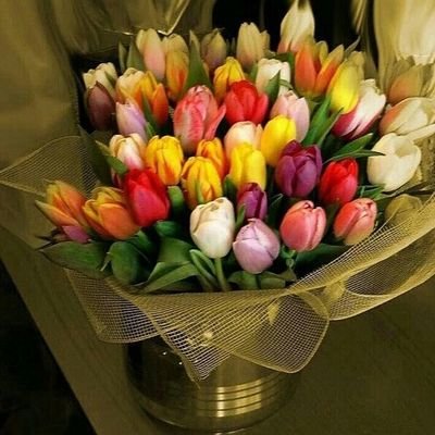 2CebD5RtDn5Hmn9's profile picture. ‏يا شارح الصدور و ميسر الأمور إجعل حياتي نورا على نور