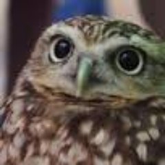 Leaner TechnologiesでBtoBのプロダクトを開発してるソフトウェアエンジニア / ex-ANDPAD / Ruby / Rails / MySQL