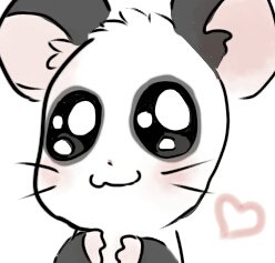 杢野さんのプロフィール画像