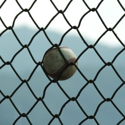 noball_2strike's profile picture. 