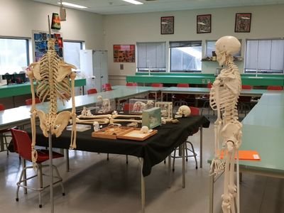 Laboratory Technician and Volunteer Fire Fighter.
All views are my own and not those of my employer or other organisations