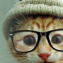 maxestmax's profile picture. Medecin