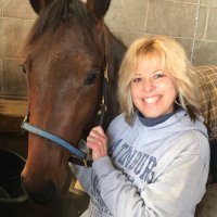 Teri VanHorn (@tlvonline) 's Twitter Profile