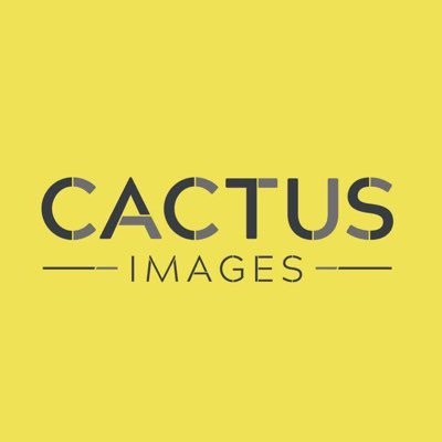 Cactus Images