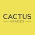 Cactus Images (@CactusImages) Twitter profile photo