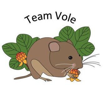 Team vole is a group of collaborative scientists seeking to understand the impacts of small herbivores on carbon and nutrient cycling in tundra ecosystems.